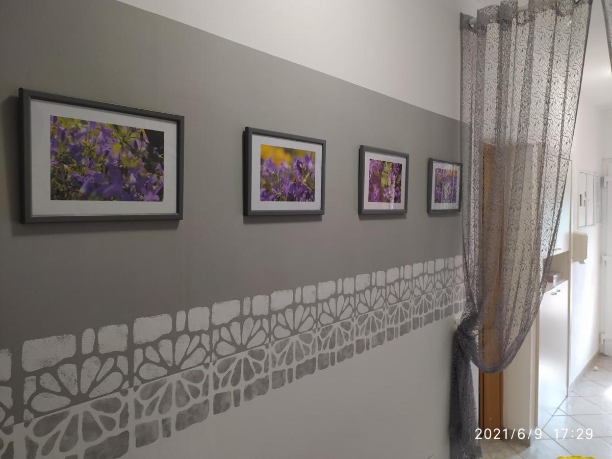 נובי ווינודולסקי Apartment Sara מראה חיצוני תמונה