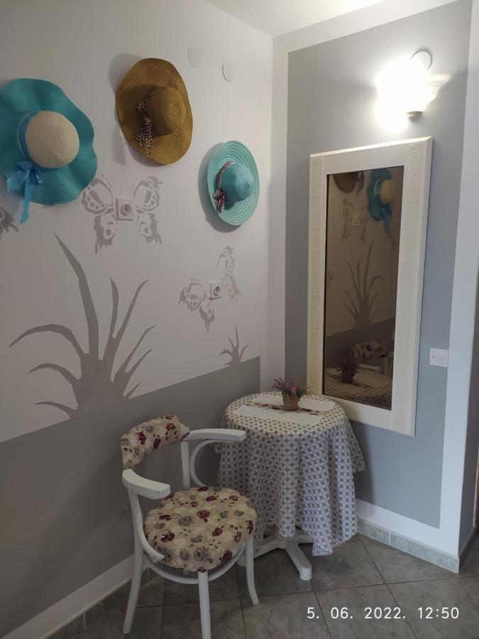 נובי ווינודולסקי Apartment Sara מראה חיצוני תמונה